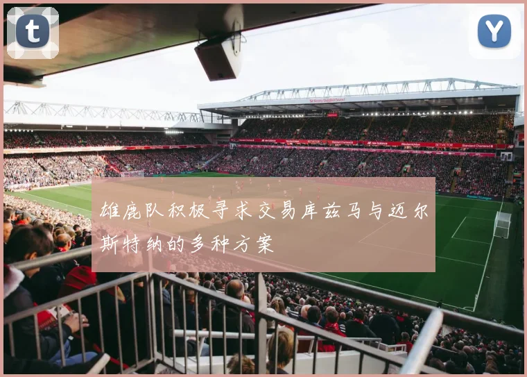 雄鹿队积极寻求交易库兹马与迈尔斯特纳的多种方案